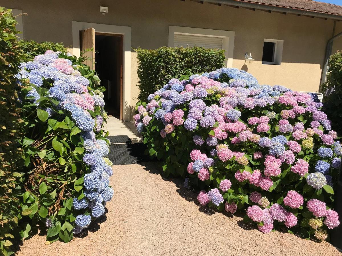 Les Hauts De Hotel *