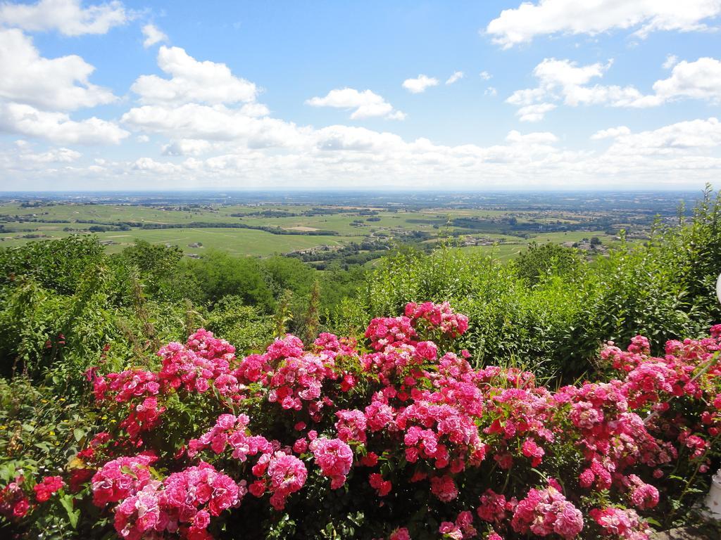 Hotel Les Hauts De Chenas
